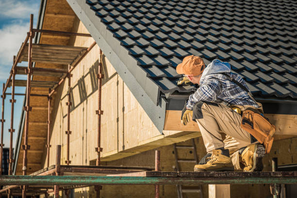 Best Local Roofing Companies  in Ripley, TN