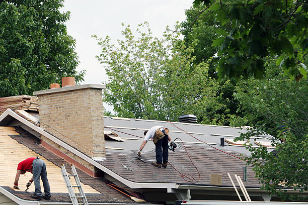 Quick and Trustworthy Emergency Roof Repair Services in Ripley, TN