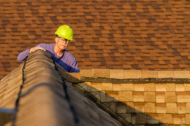 Best Emergency Roof Repair  in Ripley, TN